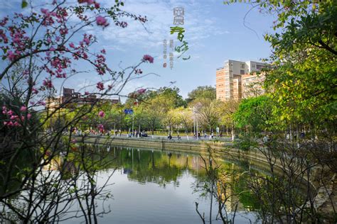 中国农业大学是985还是211_高考升学网