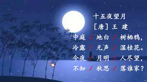 【语文大师】十五夜望月——唐 王建（修正版）
