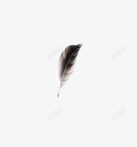 人生就像是一片羽毛