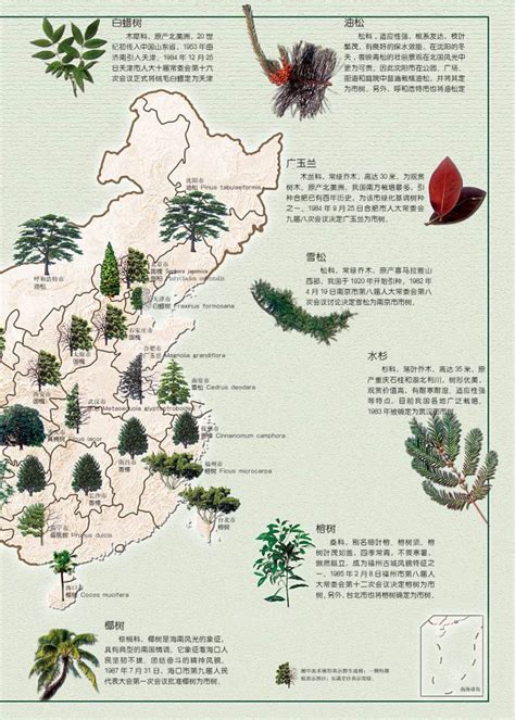 中国市树 | 中国国家地理网