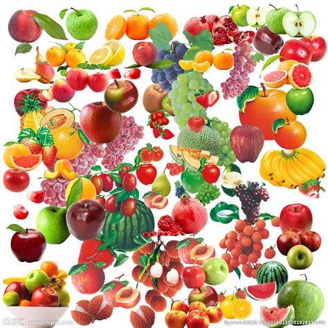 各种水果名称与图片,水果种类大全366百科,中所有水果图片名字_大山谷图库