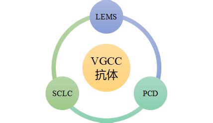 【科普文章-VGCC（三）】打破LEMS与中枢神经系统疾病的界限 - 天津阿斯尔生物科技有限公司 - 天津阿斯尔生物科技有限公司