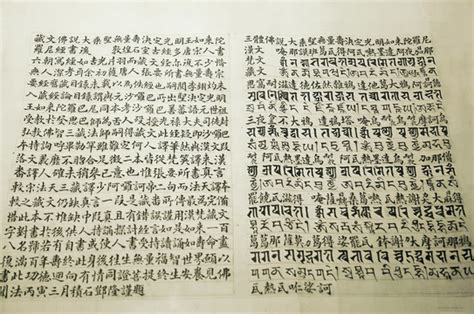 古藏文大乘无量寿经,文物考古,文化艺术,摄影,汇图网www.huitu.com
