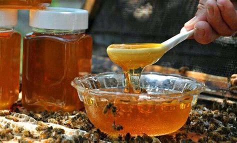 蜂蜜水什么时候喝效果最佳 营养师：这个时间喝才最好_TOM健康