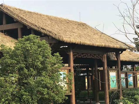重庆茅草塑料毛草木屋顶混搭色人造茅草瓦工程加厚装饰假稻草-阿里巴巴