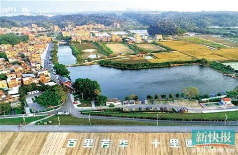广州增城新乡村示范带规划出炉！27个村将组成“时光穗道”！