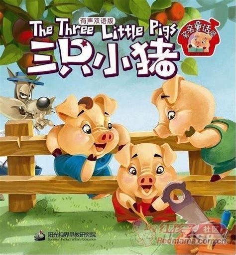 看动画学知识 三只小猪保护森林