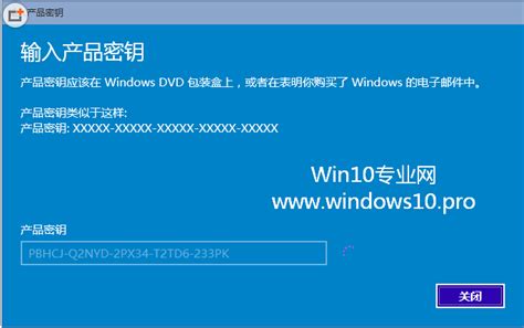 Windows10专业版激活工具下载-Windows10专业版激活工具免费版 汉化版_91下载站
