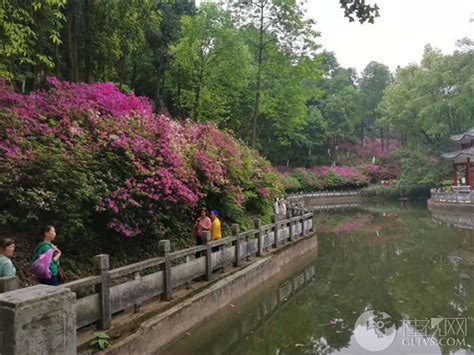 2021桂林园林植物园-旅游攻略-门票-地址-问答-游记点评，桂林旅游旅游景点推荐-去哪儿攻略