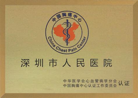 深圳市人民医院门户网站
