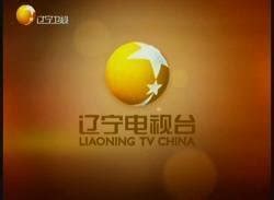 辽宁卫视标志logo设计,品牌vi设计