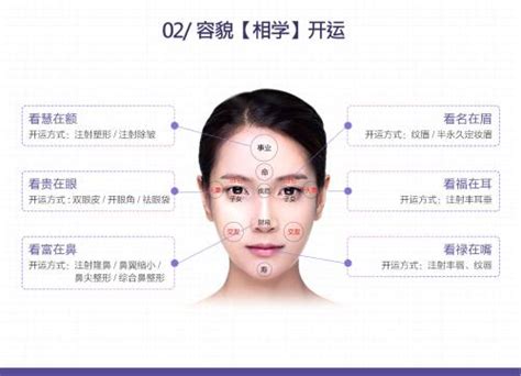 面相图解大全图片