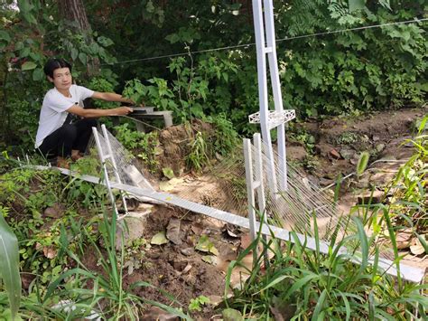 周口21岁大学生自家菜地建“高铁” 学校为其打造工作室_河南频道_凤凰网