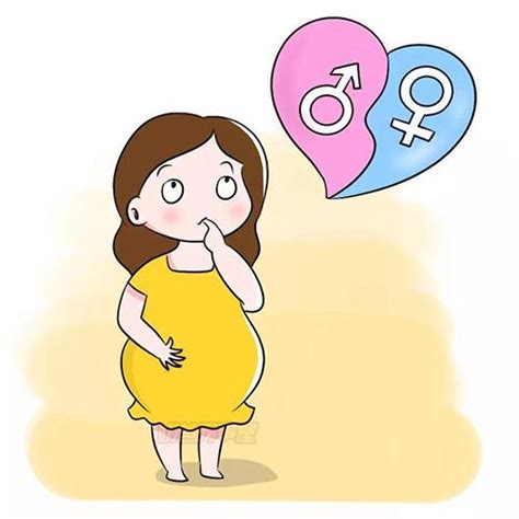 孕妇怎样判断是男孩还是女孩 孕妇怎样才知道是男宝还是女宝
