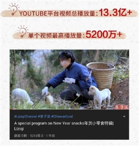 李子柒在Youtube上粉丝过千万 是首个该平台粉丝破千万的中文创作者-半岛网