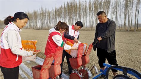 乌苏：“访惠聚”驻村工作队助农春播不停歇 -天山网 - 新疆新闻门户