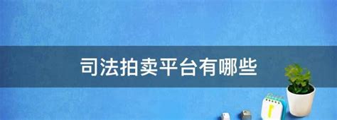 中国人民法院诉讼资产网网络司法拍卖平台(法拍)图片预览_绿色资源网