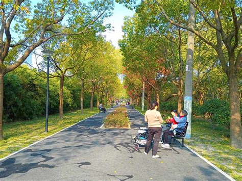 浦东今年完成40公里绿道，这条锦绣文化公园新建绿道是怎么样的？