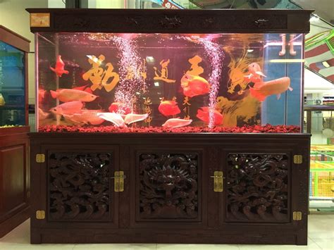 镶嵌式鱼缸定制_上海艺海园景观工程有限公司