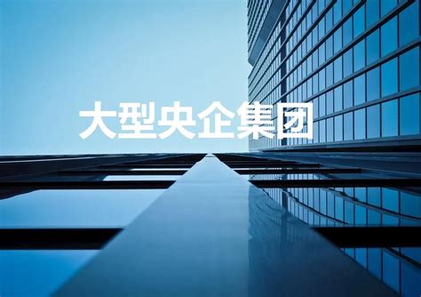 央企专业化整合提速 四大全新业务平台渐次崛起-上市公司-上海证券报·中国证券网