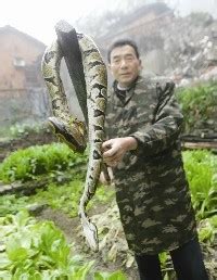 100米巨蛇,最大蟒蛇100000米,一万米巨蛇_大山谷图库