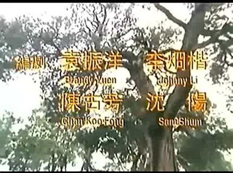 《达摩祖师传》佛教电影（1993）高清【中文】