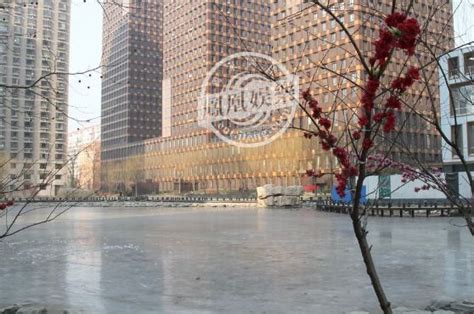 “晴格格”故宫旁大豪宅，竟然被法拍了！ 最近，北京二环内的豪宅“王府世纪”备受关注。王府世纪虽然看上去有点土气，外观有些年代感，但由于它位于 ...