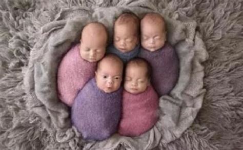 多胞胎世界纪录：最多的一胎有15个婴儿__凤凰网
