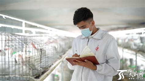 和田县：发展特色枣兔养殖 助力群众增收致富 -天山网 - 新疆新闻门户
