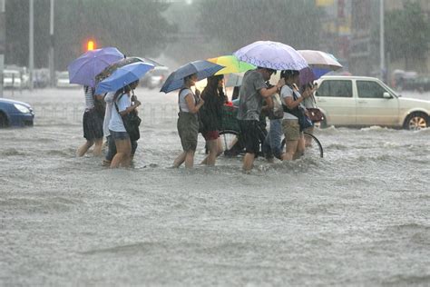 天津民众暴雨过后上街抓鱼(图)新闻频道__中国青年网