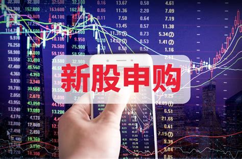 2017年新股申购条件_企业新闻_中国贸易金融网