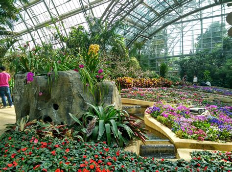 2021重庆植物园门票多少钱一张 重庆南山植物园赏花攻略_旅泊网