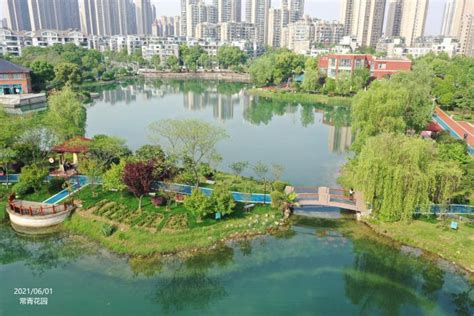 河湖生态修复与景观营造-上海清涟环境科技集团