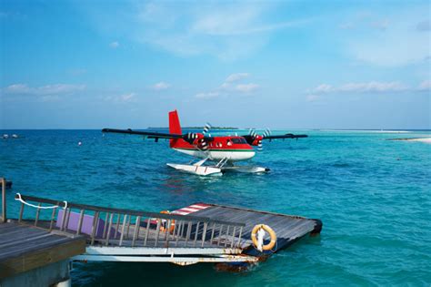 水上飞机集图片-水上飞机与两头熊素材-高清图片-摄影照片-寻图免费打包下载