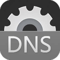 dns优选工具安卓版下载-DNS优选app下载v2.9.0 电视版-单机100网