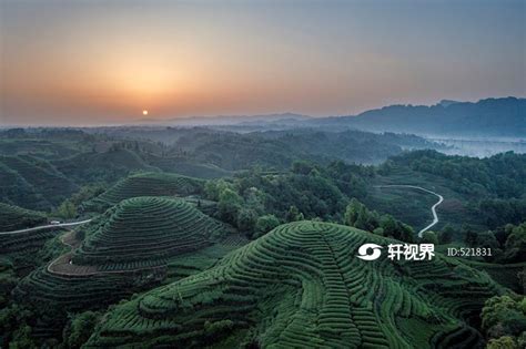 雅安名山百万亩观光茶园 图片 | 轩视界