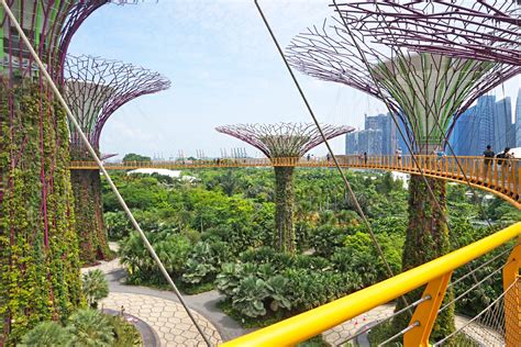 2023新加坡滨海湾花园游玩攻略,这座位于市中心的超级花园以1...【去哪儿攻略】