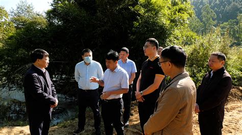 应急部化工园区安全整治提升专家指导服务反馈会议在龙南召开 | 龙南市人民政府