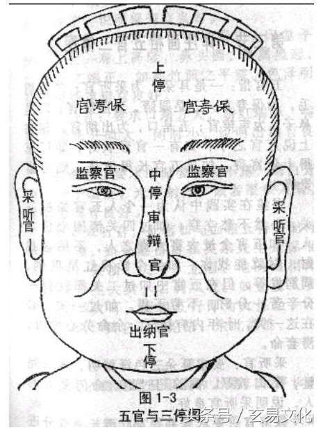 五行面相详解，面相教学3采听官、保寿官、监察官、审辨官、出纳官-八字-荣耀易学