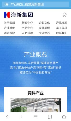 海新集团网站建设_厦门网站建设-厦门领众品牌策划有限公司(www.topzhong.com)