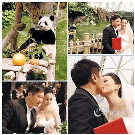 钱嘉乐汤盈盈注册结婚 大熊猫乐乐和盈盈现场见证_娱乐_腾讯网