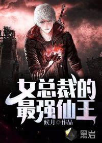 完整版《假冒男友99天，女总裁人设崩了》苏辰林沐瑶小说免费在线阅读_总裁文学网