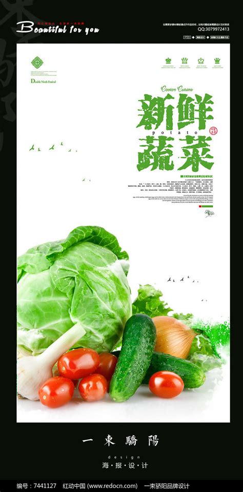 简约新鲜蔬菜宣传海报设计PSD_红动网
