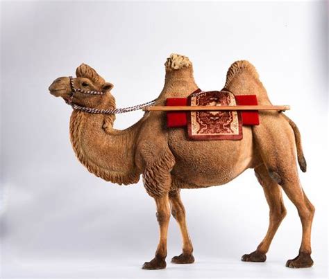 正品[骆驼香烟]骆驼牌香烟评测 camel骆驼香烟价格图片_惠惠购物