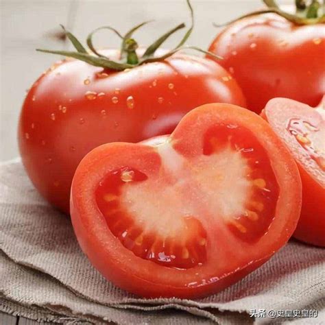 西红柿什么时候传入中国 各个朝代传入中国的农作物_华夏智能网