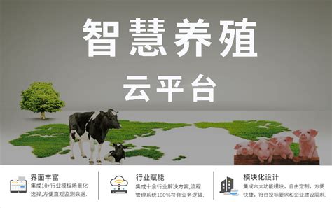 中国农业大学新闻网 媒体农大/科技之窗 加快推进畜牧业机械化 提高畜禽产品保供能力