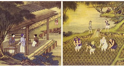 古代中国五谷农作物高清图片下载_红动中国
