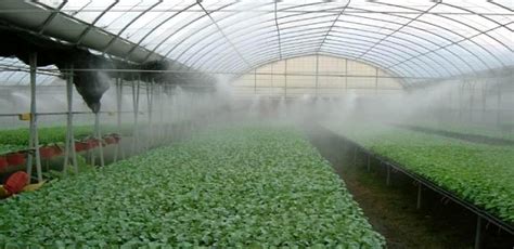 大棚喷雾加湿降温案例-上海砼谷环保工程有限公司