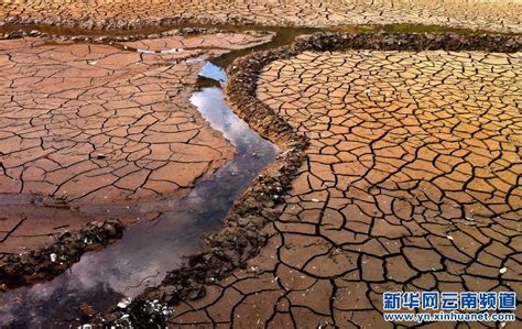 高清：江西遂川持续干旱 河塘干涸开裂--地方领导--人民网
