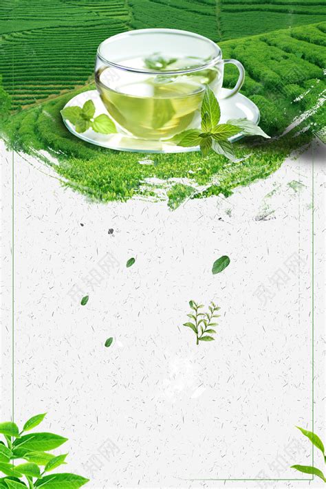 绿色茶图片